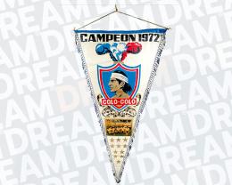 89   -  COLO COLO | 1972 CHAMPION TEAM | OFFICIAL PENNANT