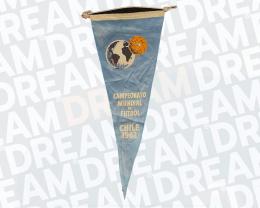 36   -  OFFICIAL PENNANT | 1962 CHILE WORLD CUP | PAINTED LETTERS