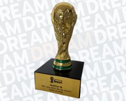 41   -  VVIP HOSPITALITY TROPHY GIFT | 2014 WORLD CUP | CHILE vs SPAIN