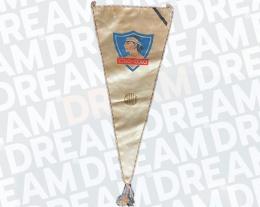 117   -  COLO-COLO | 1970's circa  | OFFICIAL PENNANT