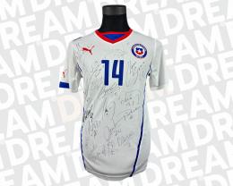 46   -  MATIAS FERNANDEZ #14 | 2014 CHILE | MATCH ISSUED SIGNED