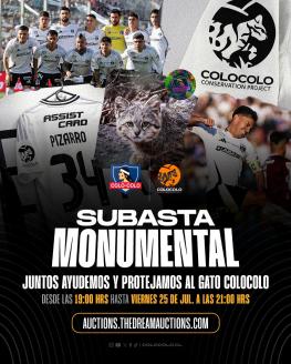  COLO COLO BENEFICO 2025